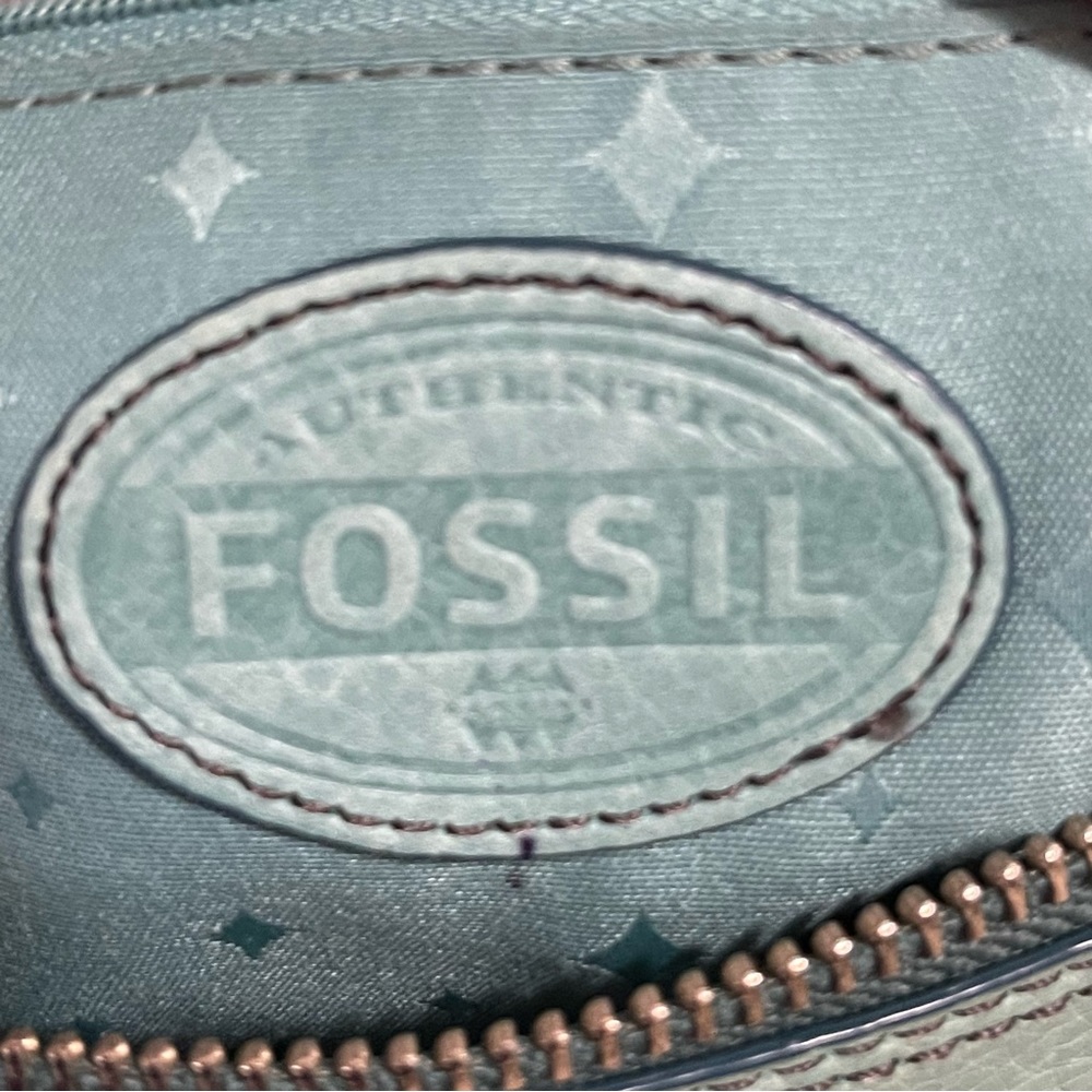 Fossil Mint Green Crossbody